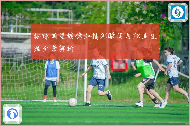 排球明星埃德加精彩瞬间与职业生涯全景解析