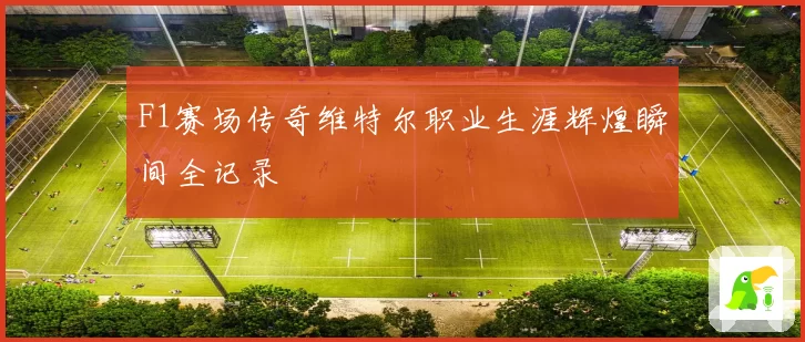 F1赛场传奇维特尔职业生涯辉煌瞬间全记录