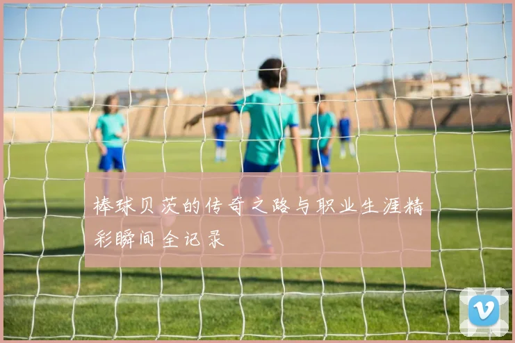 棒球贝茨的传奇之路与职业生涯精彩瞬间全记录